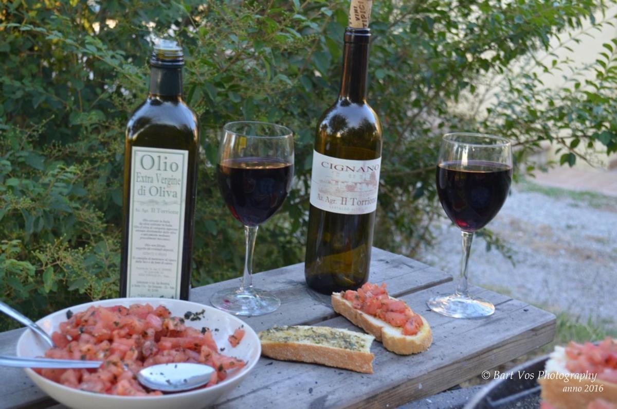 Agriturismo Il Torrione チェルタルド エクステリア 写真