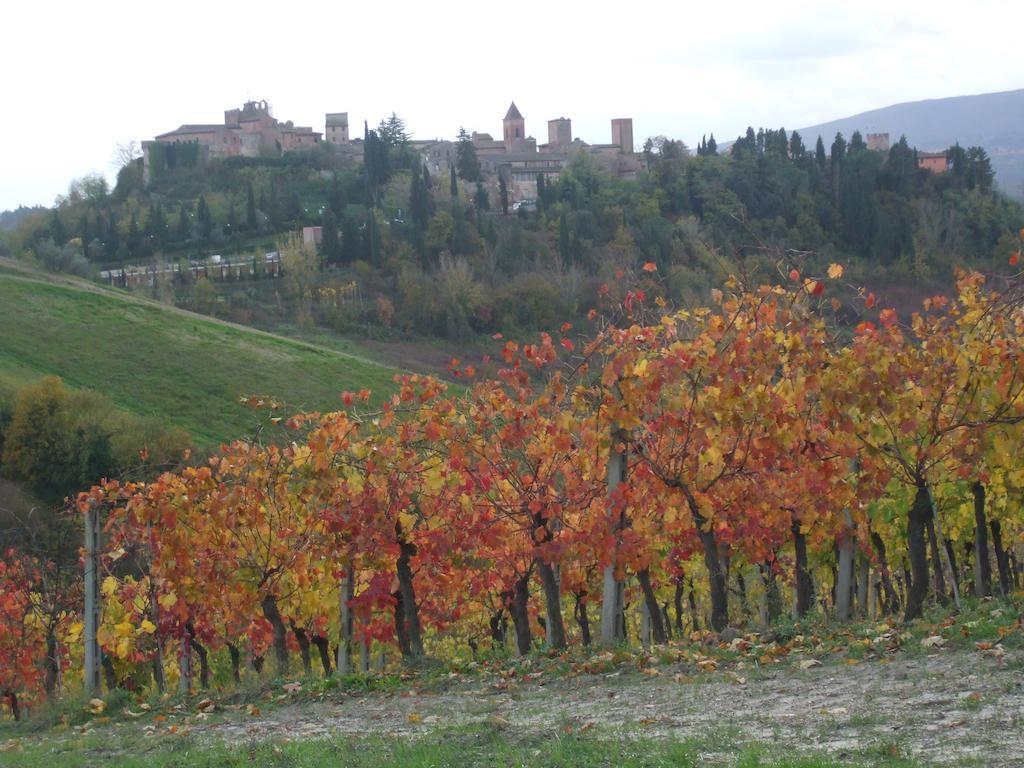 Agriturismo Il Torrione チェルタルド エクステリア 写真