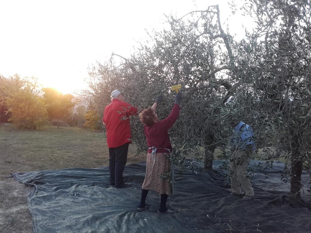 Agriturismo Il Torrione チェルタルド エクステリア 写真