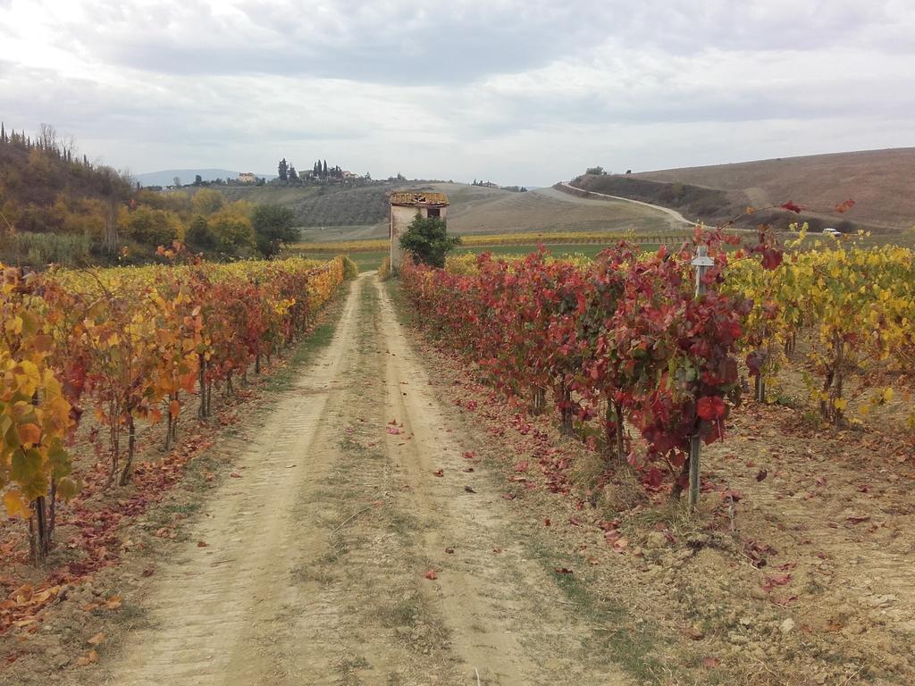 チェルタルド Agriturismo Il Torrioneヴィラ エクステリア 写真