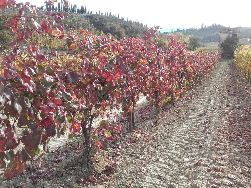 Agriturismo Il Torrione チェルタルド エクステリア 写真