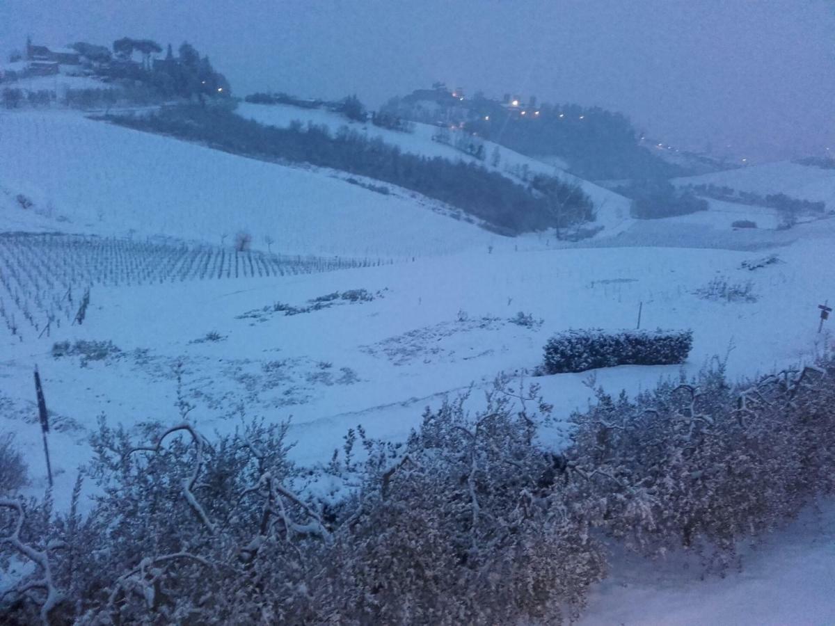 Agriturismo Il Torrione チェルタルド エクステリア 写真