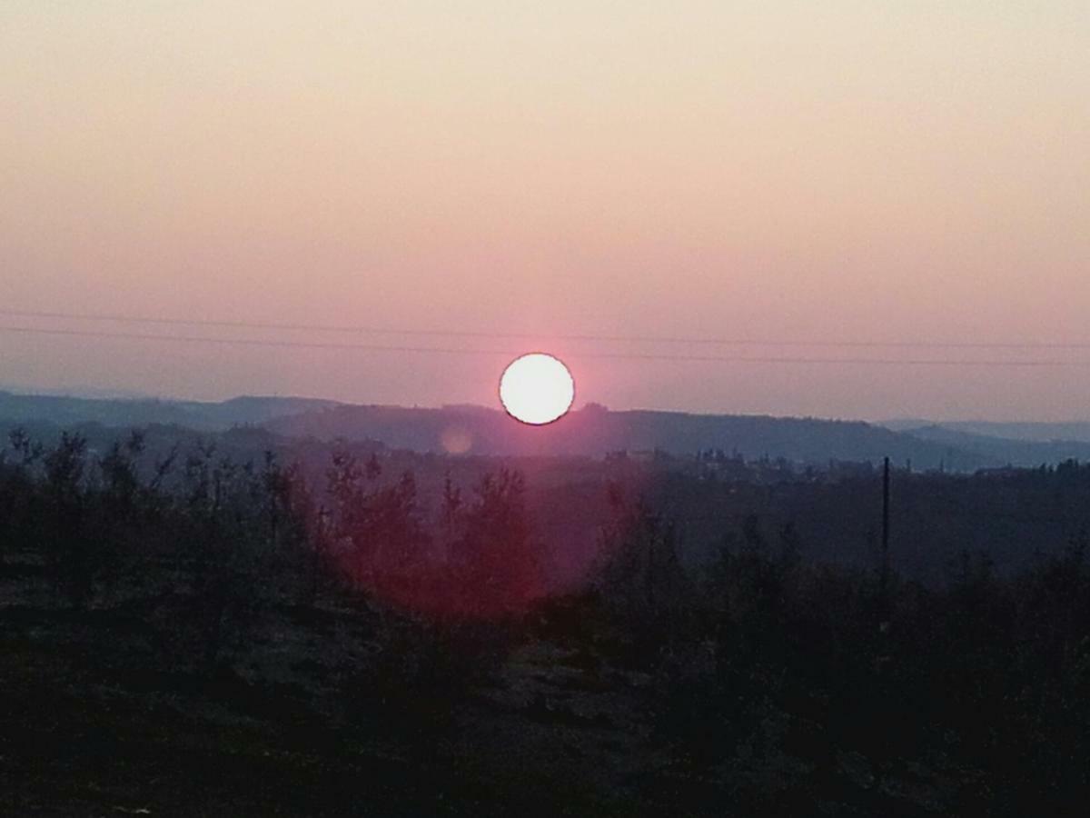 Agriturismo Il Torrione チェルタルド エクステリア 写真