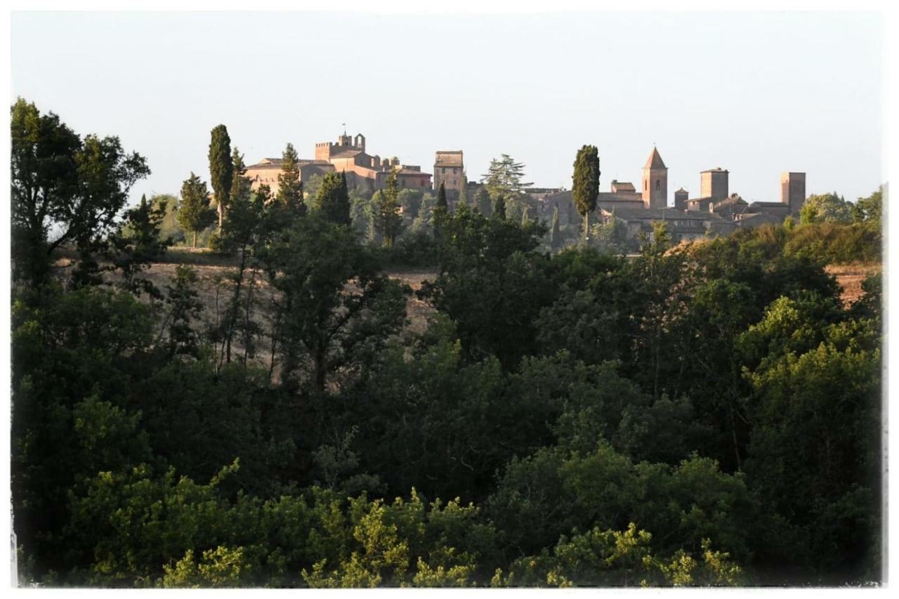 チェルタルド Agriturismo Il Torrioneヴィラ エクステリア 写真